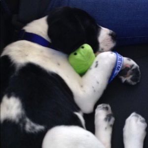 Meet your Posher, Emma